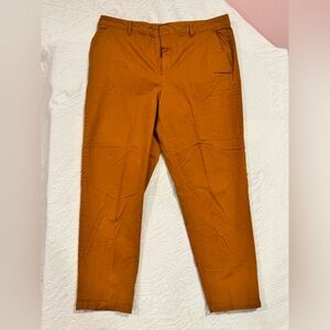 Banana Republic Mustard Chinos women’s C20